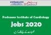 Peshawer Institute of Cardiology Jobs 2020