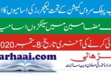 PPSC LECTURER JOBS ANNOUNCED