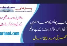 Join Punjab Police As Police Station Assistant