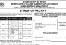 Sindh Energy Department Jobs 2020