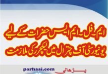 Lecturers Jobs in University of Chitral 2020