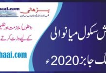 Teaching Jobs in Danish School Mianwali