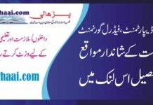 Finance Department Federal Government Jobs 2020