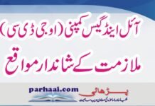 Oil & Gas Company (OGDC) Jobs 2020