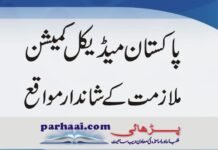 Pakistan Medical commission Jobs 2020