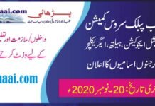 PPSC Special Education Jobs 2020