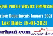 PPSC Jobs in Various Departments January 2021