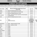 Jobs in Wapda February 2021