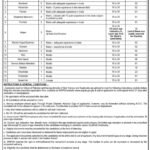 Jobs in Wapda February 2021