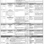 PPSC JOBS FEBRUARY 2021