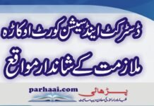 District Courts Okara Jobs 2021