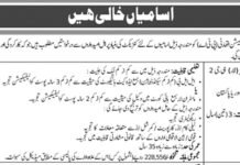 Pakistan Telecommunication Authority (PTA) Jobs