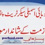 Jobs in Provincial Assembly of The Punjab March 2021