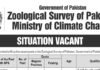Ministry of Climate Change Zoological Survey of Pakistan Jobs