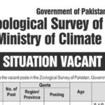 Ministry of Climate Change Zooligical Survey of Pakistan Jobs
