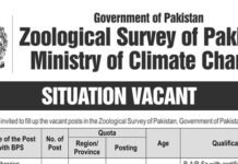 Ministry of Climate Change Zoological Survey of Pakistan Jobs