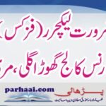Lawrence College Murree Jobs 2021