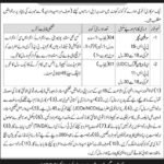 Teaching and Clerkal Jobs in Army institution