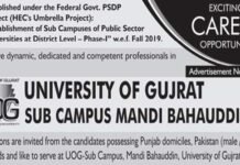 University Of Gujrat Jobs (Mandi Bahauddin Campus)