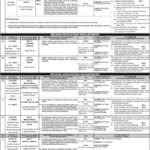 HED Punjab and special education Jobs 2021 PPSC