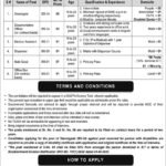 JObs in PM Office Islamabad 2021