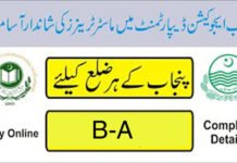 Master Trainers Jobs in Education Department Punjab