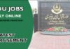 Allama Iqbal University Jobs December 2021