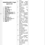 Kohsar University Muree Jobs 2021