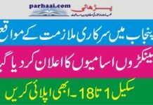 Fisheries Department Jobs 2022 in Punjab