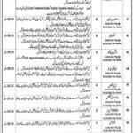 Government TV Channel Jobs in Punjab 2022