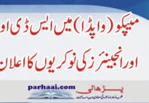 MEPCO Jobs /Jr. Engineer/SDOs 2022