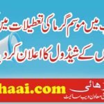 Summar Vactions 2022 Shedule Announced