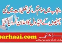 Summer Vacation Schedule 2022 in Punjab Schools