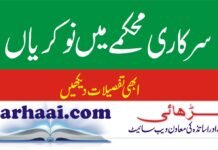 Govt. Jobs announced 2022