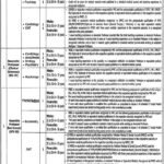 Teaching Faculty Jobs at Sahiwal Medical College