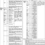 University of Okara Jobs 2022