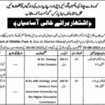Wild Life Department Jobs in Sahiwal Region 2022