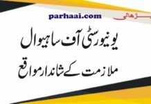 Jobs in University of Sahiwal