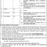 University of Sahiwal Jobs 2022