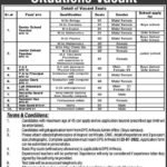 DPS Arif Wala Jobs 2022