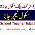 DPS Arifwala Jobs 2022