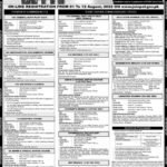 JOIN PAKISTAN AIRFORCE AS COMMISSIONED OFFICER