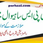 Jobs at DPS Sahiwal