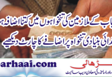 Punjab Salary Increase Chart Scale Wise 2023