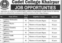 Lecturer Jobs at Cadet College Khairpur Sindh 2023