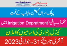PPSC Jobs Of Canal Patawri Announcement (Advertisement 8/2023)
