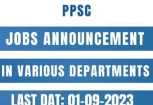 PPSC announced Jobs in Various Departments