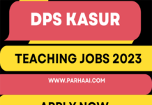 District Public School Kasur Jobs 2023