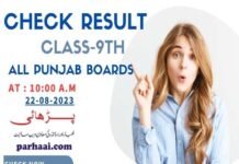 Check Result of Class 9th 2023 All Punjab BISE