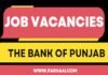 The Bank of Punjab Jobs August 2023